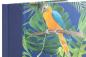 Preview: Colorful notebook "Parrots", blank 80 sheets, linen back